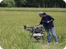 Agriculture